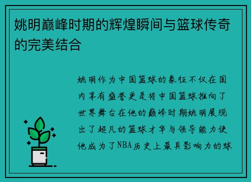 姚明巅峰时期的辉煌瞬间与篮球传奇的完美结合